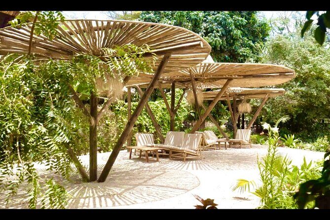2 Days Private Midrange Safari from and back to Zanzibar - The Real Deal: An In-Depth Look at the Safari Itinerary