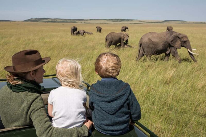 2 Days Private Midrange Safari from Dar Es Salaam - Day 2: The Marvel of Ngorongoro Crater