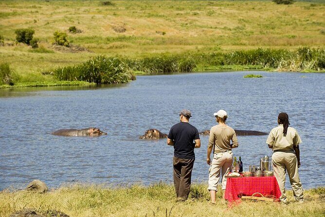 2-Days Private Midrange Safari; Tarangire & Ngorongoro Crater - What’s Included — And What That Means for You
