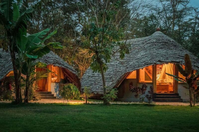 2 Days Private Midrange Safari to Tarangire & Ngorongoro - Key Points