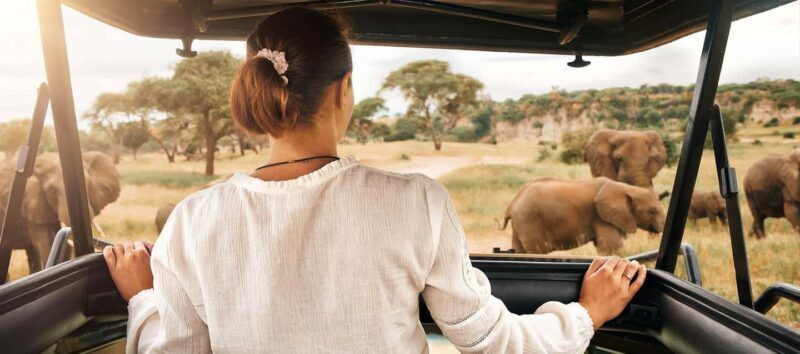 2 Days Private Midrange Safari to Tarangire & Ngorongoro - What Does This Tour Offer in Terms of Value?