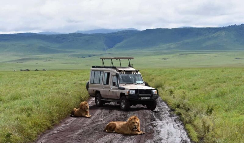2 Days Private Midrange Safari to Tarangire & Ngorongoro - Authentic Experiences and Highlights