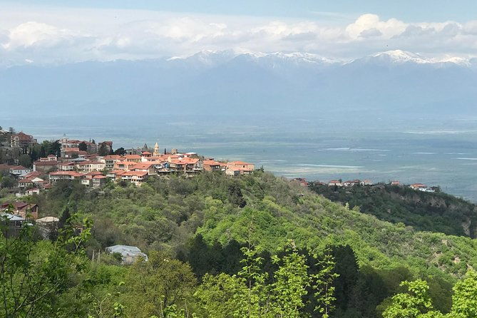 2-days-private-organic-wine-tour-to-kakheti-region-via-rustavi-and-david-gareja