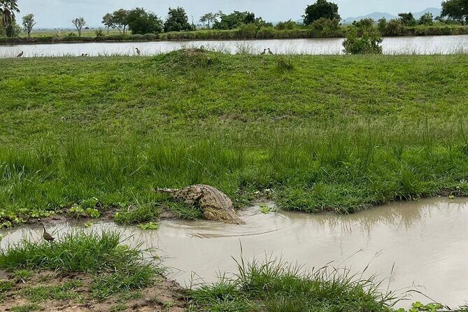 2 days private safari to Mikumi N park from Zanzibar or Dsm - FAQ