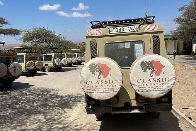 2 days private safari to Mikumi N park from Zanzibar or Dsm - Final Thoughts