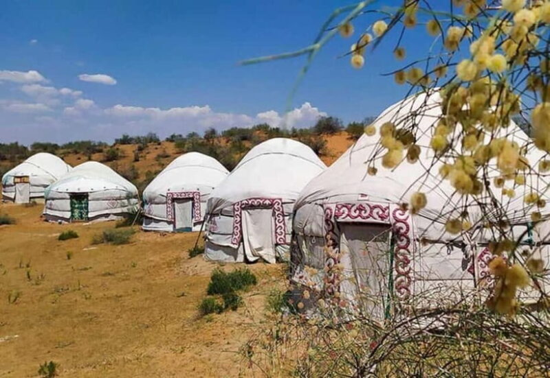 2 Days Private Safari Tour from Bukhara - Key Points