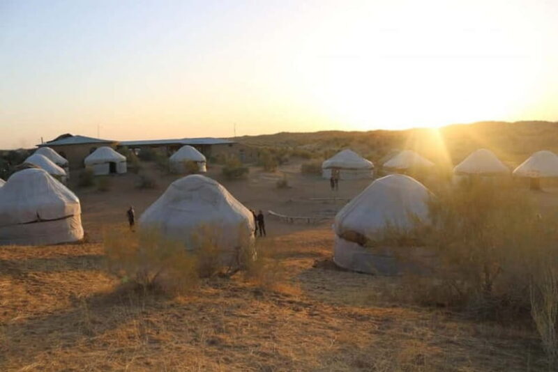 2 Days Private Safari Tour from Bukhara - Who Should Consider This Tour?