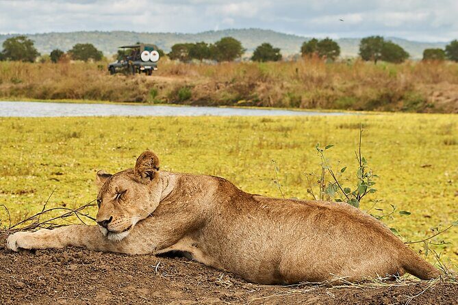 2 Days Private Safari Tour of Mikumi - Exploring the 2 Days Private Safari Tour of Mikumi