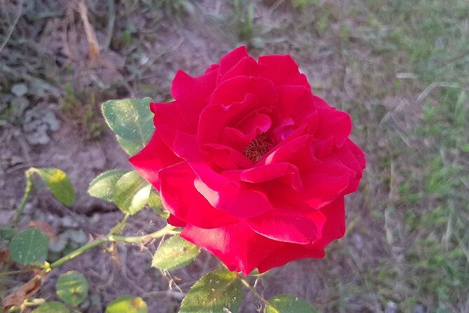 2-days-private-tour-the-romanian-caves-from-bucharest