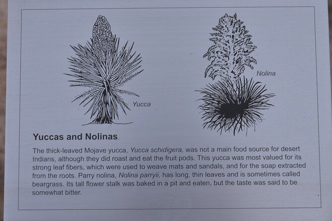 2-days-private-tour-to-joshua-tree-national-park-from-los-angeles