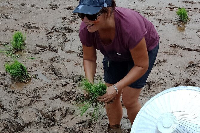 2 Days Private Tour to See Bull Race and Raflesia Arnoldi Flower - An In-Depth Look at the 2-Day Experience