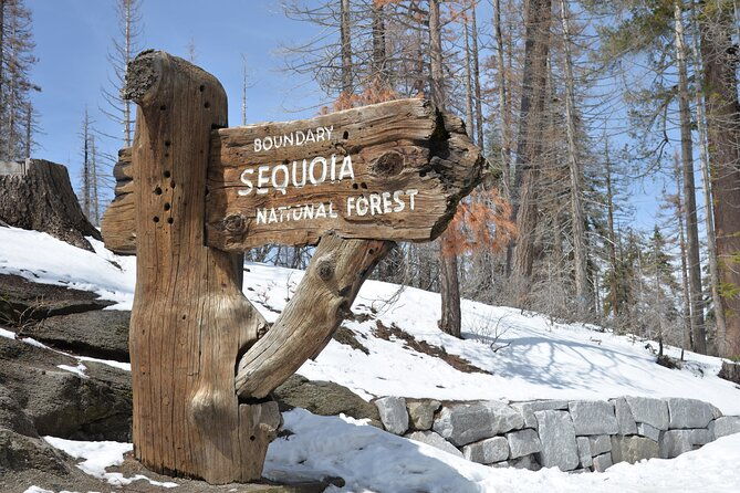 2-days-private-tour-to-sequoia-and-kings-canyon-parks-from-la