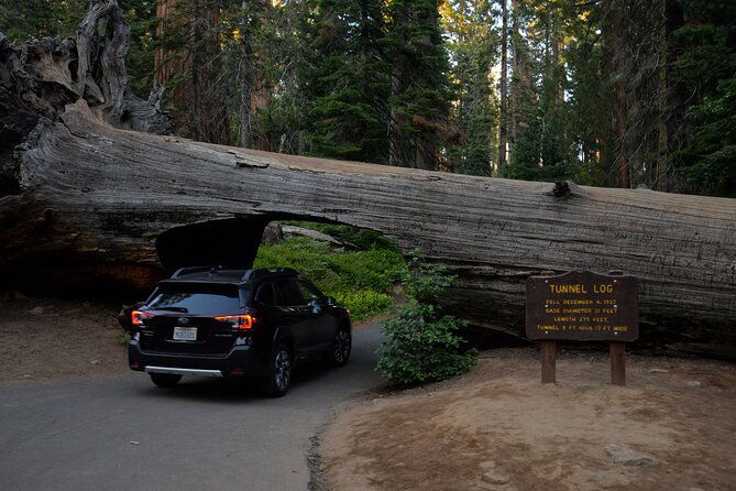 2-days-private-tour-to-sequoia-and-kings-canyon-parks-from-la