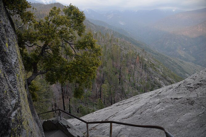 2-days-private-tour-to-sequoia-and-kings-canyon-parks-from-la