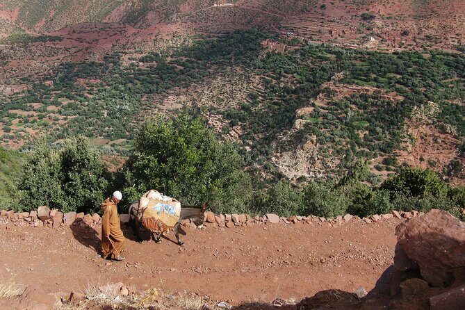 2 Days Private Tour to the Zagora Desert from Marrakech - Why This Tour Is Worth Considering