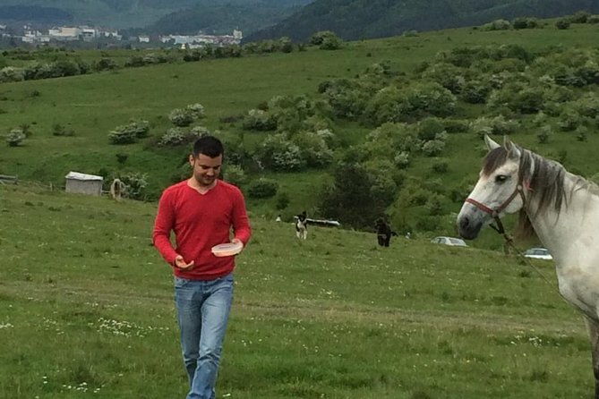 2-days-private-tour-transfagarasan-road-sibiu-from-bucharest