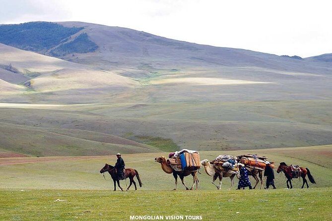 2 Days Przewalski's horses (takhi) and Genuine Nomadic Heritage - Key Points