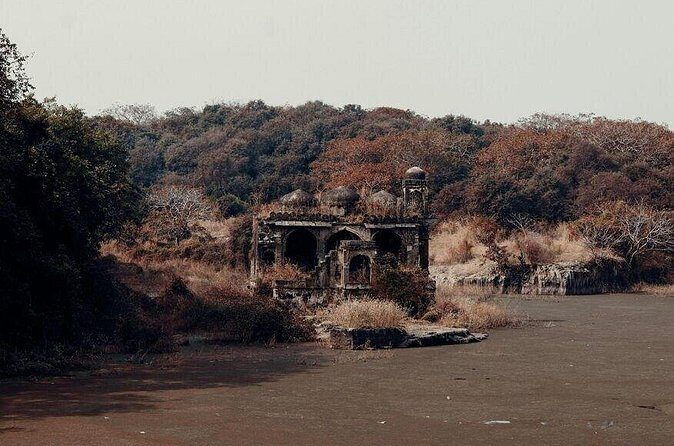 2 Days Ranthambore Wildlife Private Tour from Jaipur - Frequently Asked Questions