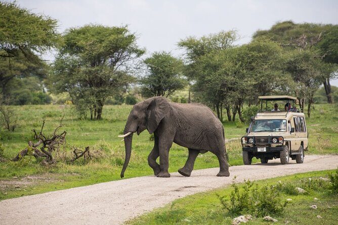 2 Days Ruaha National park - Exploring a 2-Day Tour of Ruaha National Park: What You Need to Know