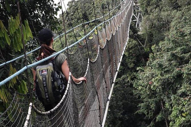 2 Days Rwanda Chimpanzee Trekking Safari - 2 Days Rwanda Chimpanzee Trekking Safari: An Authentic Wildlife Experience