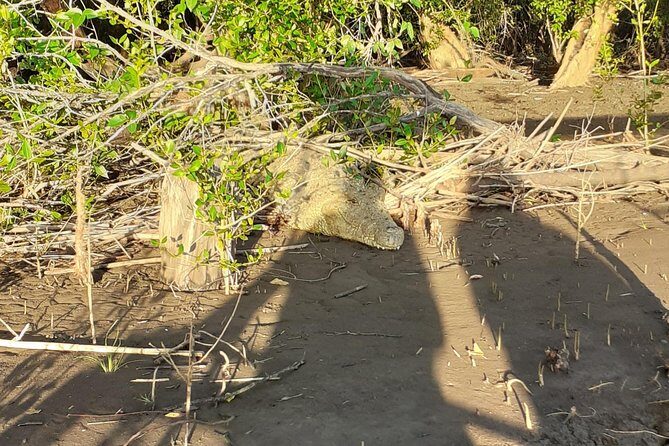 2 Days Saadani National Park From Zanzibar - FAQs