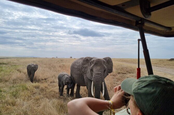 2 Days Safari in Tarangire and Ngorongoro Crater - Discover the 2 Days Safari in Tarangire and Ngorongoro Crater
