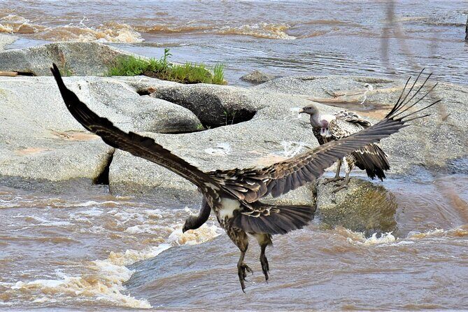 2 Days Safari through Tarangire NP and Lake Manyara NP - Who Will Love This Safari?