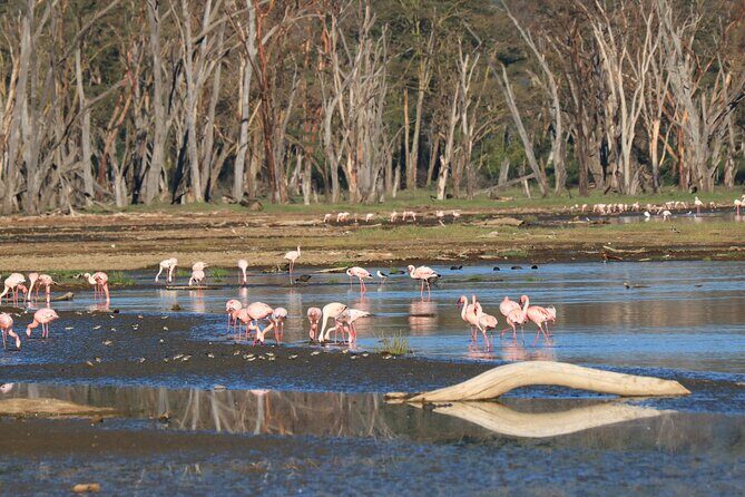 2 Days Safari to Tarangire & Lake Manyara - Key Points