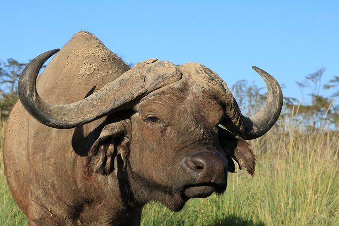 2 Days Safari to Tarangire & Lake Manyara - Who Is This Tour Best For?