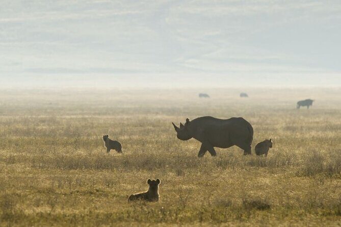 2 Days Safari Tour in Tarangire and Ngorongoro Crater - Who This Tour Is Best For