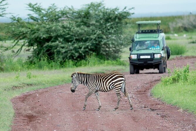 2-Days Safari Tour in Tarangire & Ngorongoro Crater - Key Points