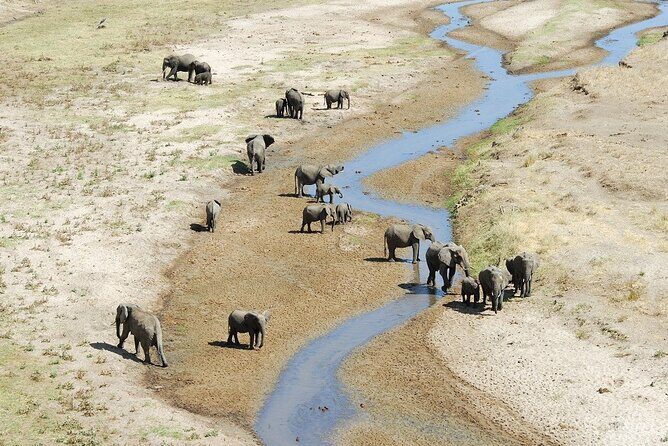 2-Days Safari Tour in Tarangire & Ngorongoro Crater - An In-Depth Look at the Itinerary