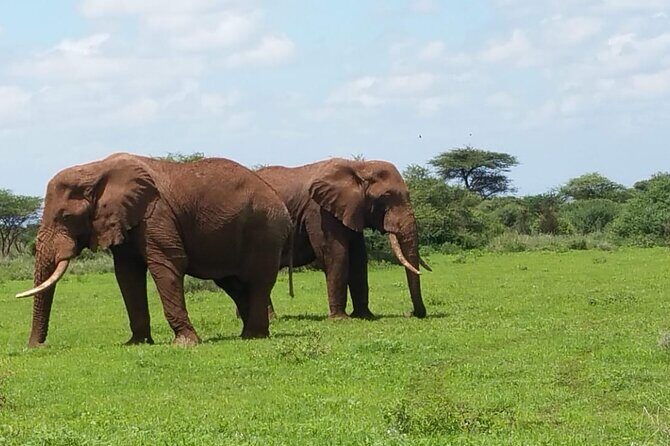 2 Days Salt Lick Safari Tour - Detailed Itinerary Breakdown