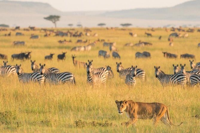 2 Days Selous Game Reserve Safari from Zanzibar or Dar es salaam - Who Will Benefit Most from This Tour?