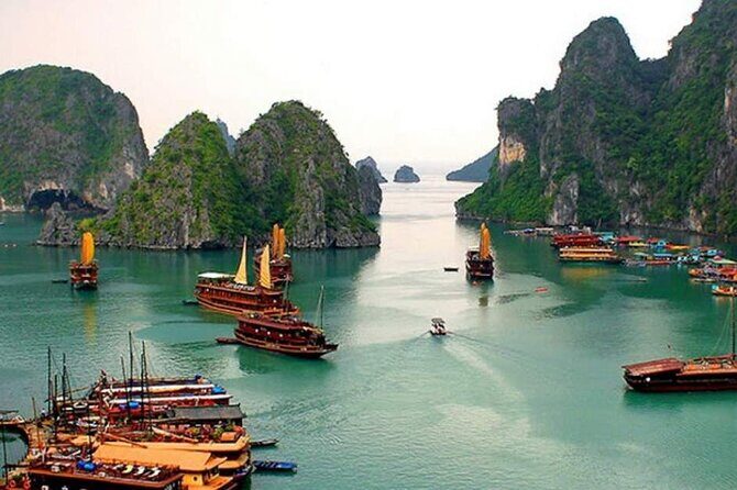 2 Days Serene Bai Tu Long Bay Adventure from Hanoi - What Makes This Tour Stand Out?