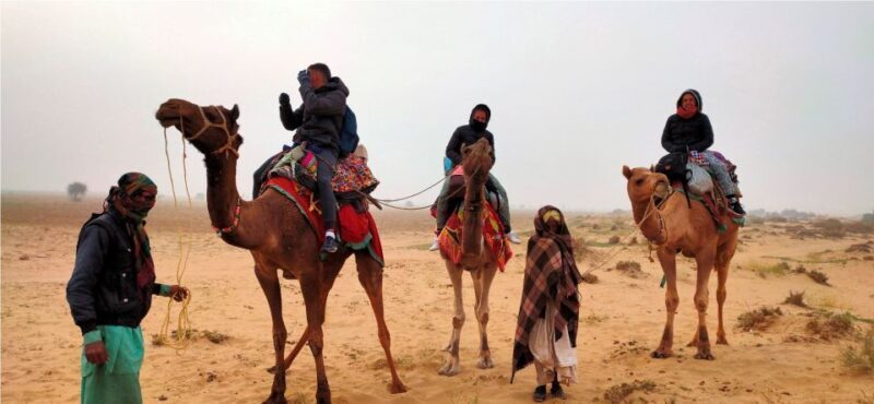 2 Days Sharing Group Non Touristic Camel & Desert Safari - An Honest Look at the Thar Desert Safari Experience