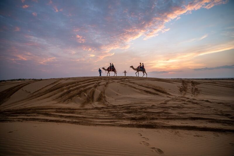 2 Days Sharing Group Non Touristic Camel & Desert Safari - Authentic Experiences from Real Travelers