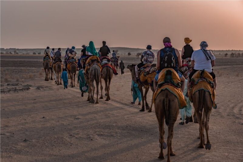 2 Days Sharing Group Non Touristic Camel & Desert Safari - Final Thoughts: Is This Tour Right for You?