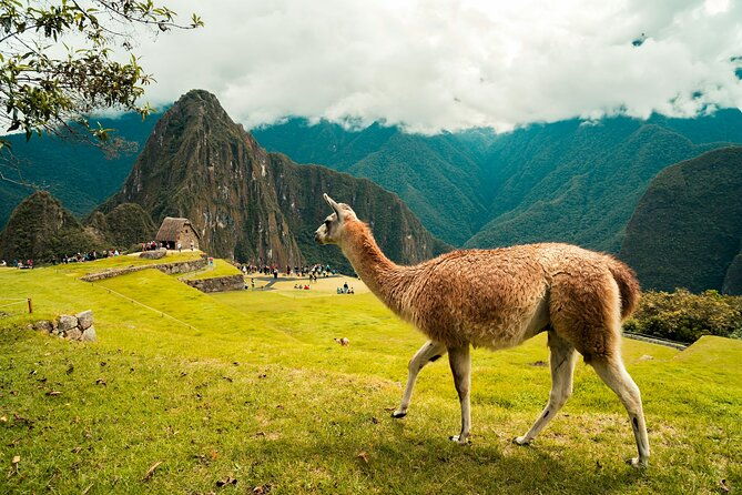 2-days-short-inca-trail-to-machu-picchu-small-group