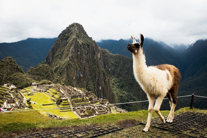 2-days-short-inca-trail-to-machu-picchu-small-group