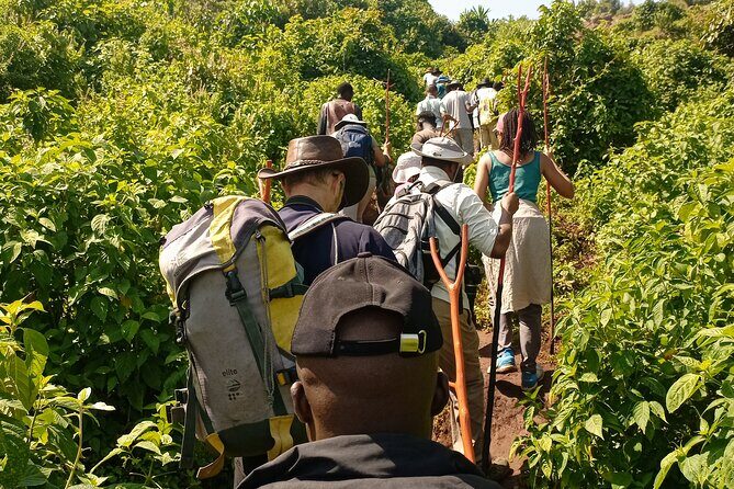 2 Days Sipi Falls Hike and Coffee Tour - Transport and Logistics: Seamless and Hassle-Free