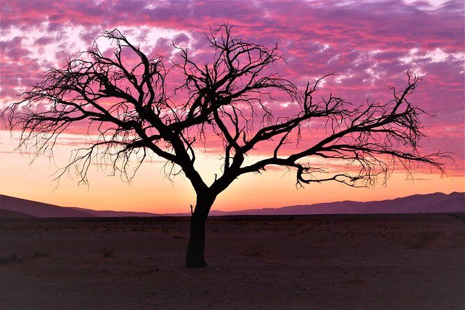 2 Days Sossusvlei Private Camping Tour - What’s Included and What’s Not