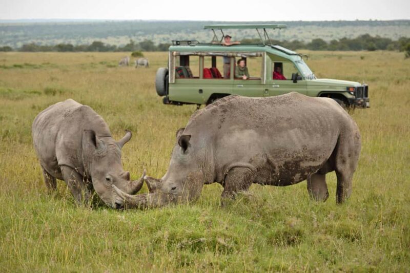 2 Days Sweetwaters Ol Pejeta Conservancy Safari from Nairobi - Exploring the 2-Day Sweetwaters Ol Pejeta Safari: An In-depth Look