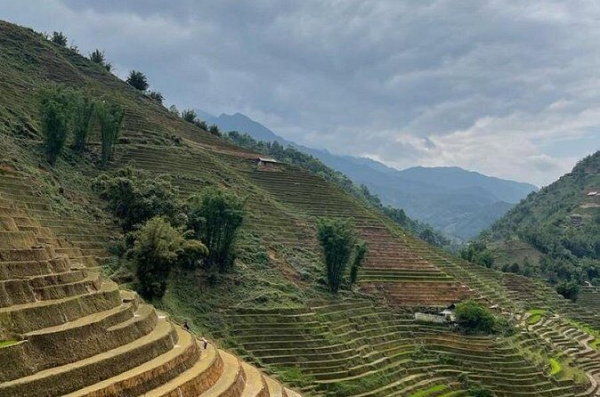 2 Days Ta Van Trekking and Homestay - The Sum Up: Is This Tour Right for You?