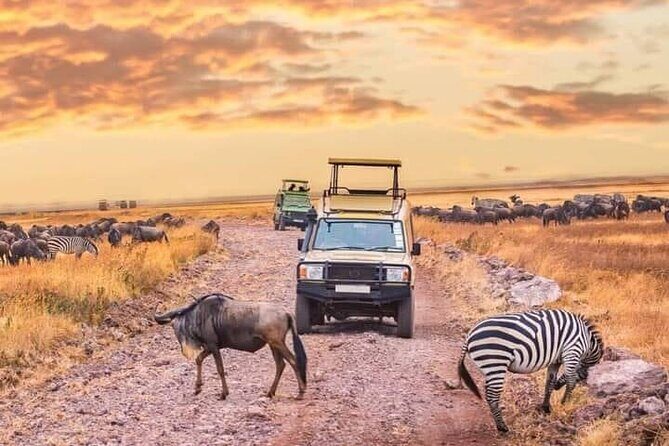 2- Days Tanzania Private (Budget) Safari - The Itinerary Breakdown: What You’ll Experience