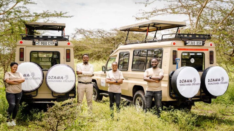 2 days tanzania safari from zanzibar - 2 Days Tanzania Safari from Zanzibar: A Quick Wildlife Escape