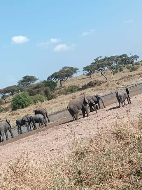 2 days tanzania safari from zanzibar - Key Points
