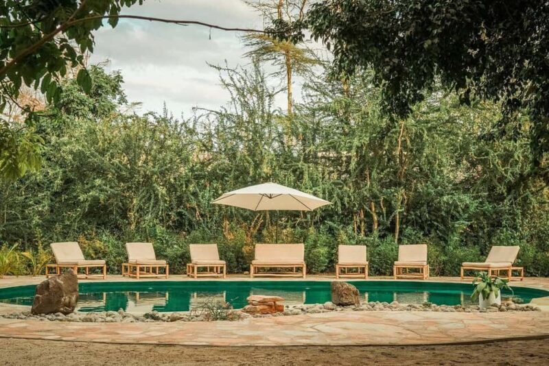 2 Days Tarangire and Ngorongoro Mid Luxury Safari & Flights - The Bottom Line: Who Is This Safari Best For?