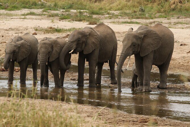 2 Days Tarangire and Ngorongoro Mid-Range Group Safari - Camping Experience & Meals
