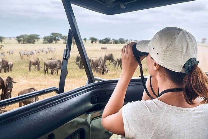 2 Days Tarangire and Ngorongoro Safari from Zanzibar - The Journey Begins: From Zanzibar to the Heart of Tanzania